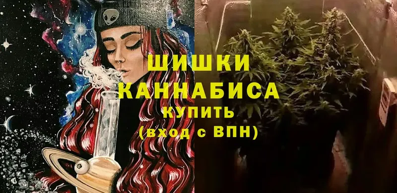 МЕГА как войти  Орск  Шишки марихуана Amnesia 